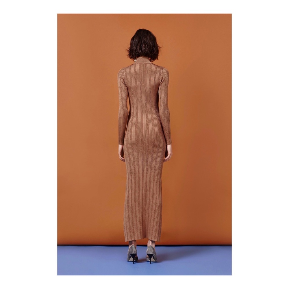 Arc Dorit Maxi Bodycon Dress in Hazel - Picture 2 of 3